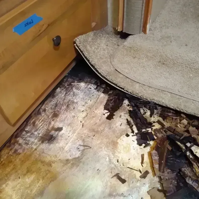 Wood Floor Water Damage in Cresaptown, MD